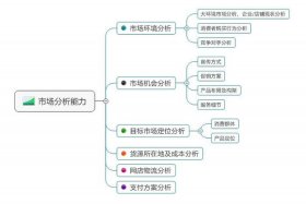 店铺运营方案模板ppt（店铺运营策略）