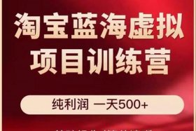 电商新手入门训练营，电商从零基础怎么学