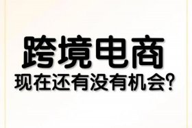 跨境电商真的害苦我了 虾皮 - 跨境电商虾皮能做吗