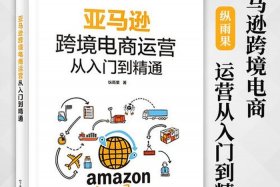 跨境电商亚马逊运营实战宝典pdf 亚马逊跨境电商平台实务