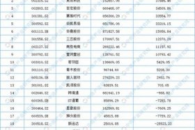 十大电商公司排名最新；国内前十电商公司