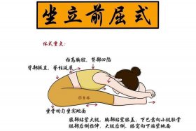 零基础怎么练瑜伽，零基础学瑜伽入门教程