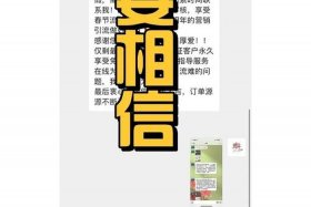 被代运营公司骗了怎么追回钱；被代运营公司骗了怎么追回钱呢