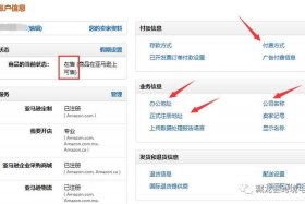 中国亚马逊跨境电商个人开店 - 亚马逊跨境电商个人开店需要营业执照吗
