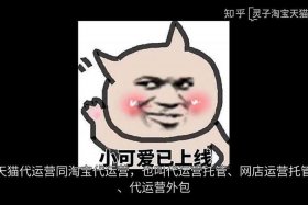 淘宝代运营公司是真的吗，淘宝代运营公司是真的吗安全吗