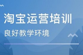 网店运营零基础培训 - 网店运营自学