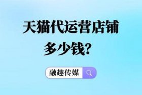 开天猫店铺一年需要多少钱、现在开个天猫店要多少钱一年