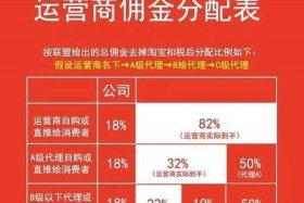 淘宝运营商是什么、淘宝店铺运营商