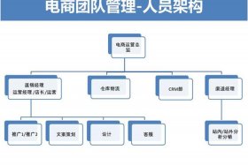 淘宝电商运营团队、淘宝运营团队人员和分工