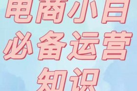 新手小白怎么做电商 - 自己在家怎么做电商