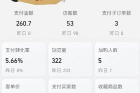 一个人能在淘宝开几家店、一个人能在淘宝开几家店吗