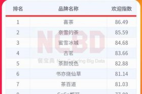 十大电商品牌排行榜名单 有名的电商品牌
