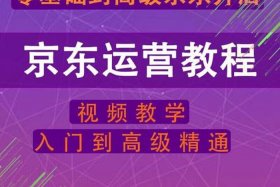 做电商怎么入门教学视频大全 电商入门教程