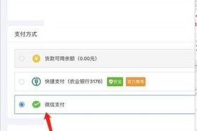 如何开网店无货源新手入门拼多多 - 如何开一个无货源拼多多店