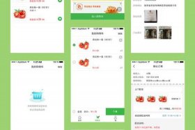 批发进货渠道网站；进货批发网站app