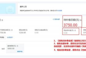 天猫店铺保证金 天猫店铺保证金已签署消保协议