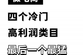 网店什么利润最大、网店利润高的类目