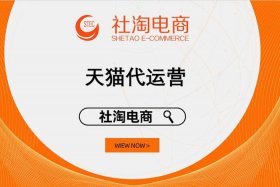 淘宝天猫运营助理工作业绩 天猫运营助理述职报告