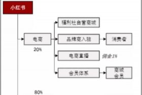 湖南小红书电商代运营方案、小红书电商运营模式