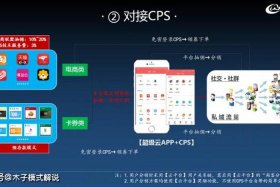 怎么做电商平台app - 怎样做电商平台
