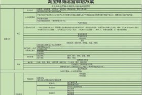 淘宝店铺运营规划；淘宝店铺运营规划分析