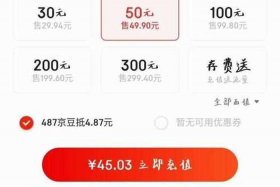 如何在京东上开网店要交多少钱（怎样在京东商城开网店费用）