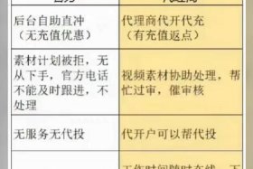 淘宝代运营诈骗案判决，杭州淘宝代运营诈案件