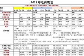国内电商运营是做什么的呢（国内电商运营工资多少）