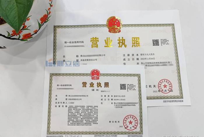 跨境电商怎么注册营业执照、跨境电商注册营业执照当法定代表人 跨境电商怎么注册营业执照、跨境电商注册营业执照当法定代表人