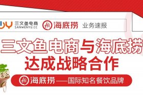 三文鱼电商运营怎么样（三文鱼电商是上市公司吗）