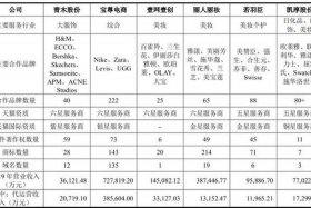 上海排名前十的电商代运营公司，上海国内前10电商代运营公司