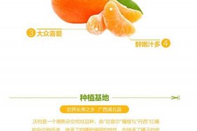 想买沃柑有没有好的淘宝店铺推荐 沃柑到哪里买才最真