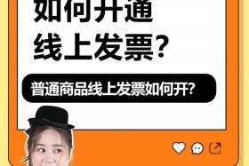 网上怎么开电子发票（网上怎么开电子发票视频教程）