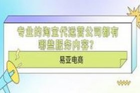 淘宝巨头电商运营公司（淘宝运营的公司）