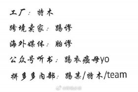 temu怎么读；temu怎么读音