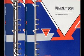 网店运营基础实训系统（网店运营基础实训(初级)）