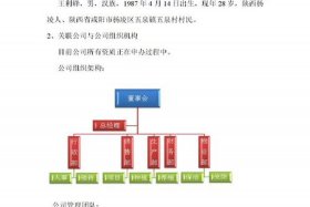 电商创业项目；电商创业项目计划书模板