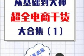 自己怎么干电商赚钱（自己干电商如何下手）