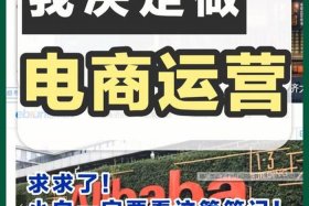 电商是怎么做的我想学一学、电商到底怎么做