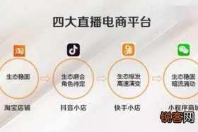 淘宝怎么做跨境电商平台（淘宝如何做跨境电商）