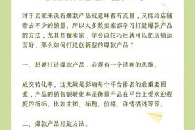 怎么干境外电商（如何在海外电商平台做卖家）