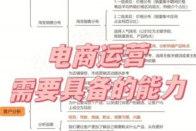 电商运营需要会哪些软件，电商运营需要具备什么