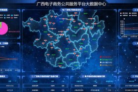 电商数据统计网站；数字化服务平台