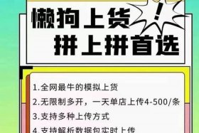 拼多多无货源电商软件，拼多多无货源网店软件