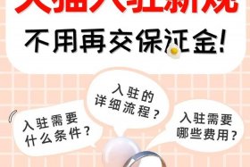 做一个天猫每年交多少钱 天猫店一年费用