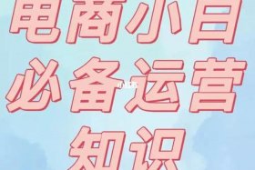 电商怎样做（电商怎样做推广）