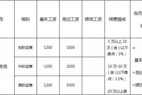 运营主要做什么工作工资多少，运营一般干啥