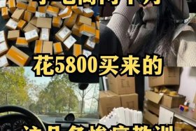 干电商需要什么学历 做电商需要学哪些