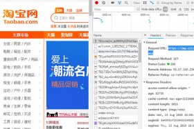 淘宝网站域名是什么、淘宝网站域名是什么样的