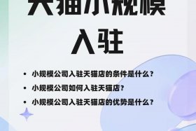 天猫店铺入驻条件什么时候不需要一般纳税人 - 天猫店需要一般纳税人还是小规